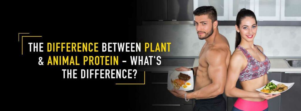 The-Difference-Between-Plant-and-Animal-Protein---What's-the-Difference--[1]