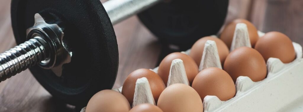egg