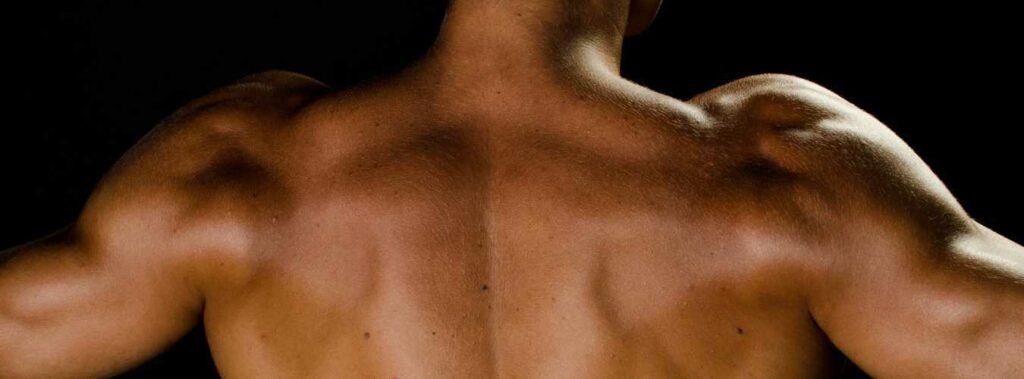 mass gainer