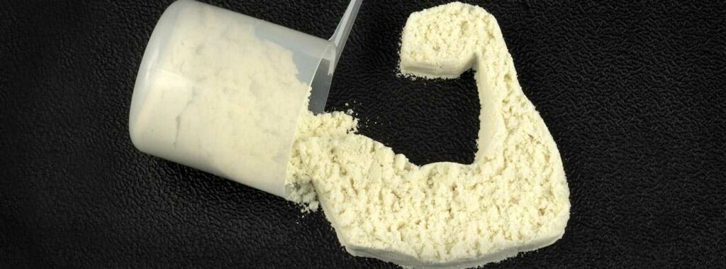 WHEY VERSUS CASEIN