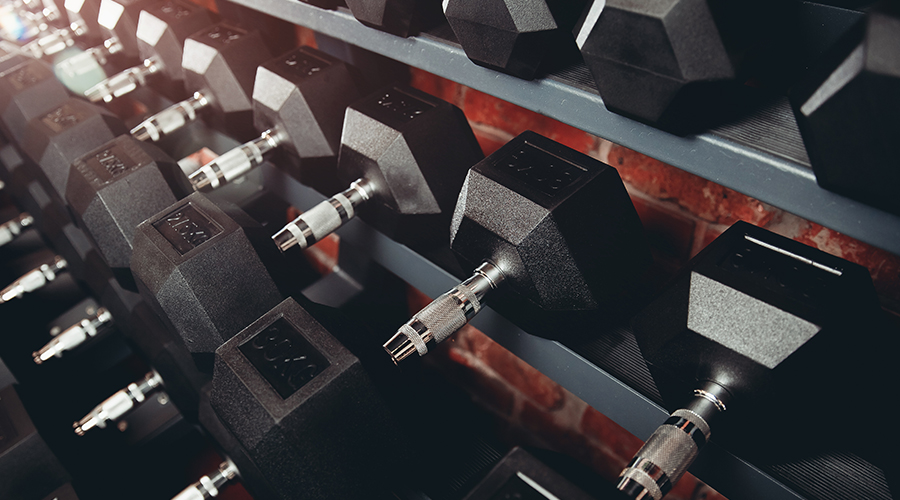 BodyBuilding
