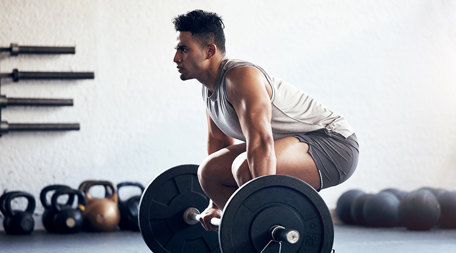 Muscle Building