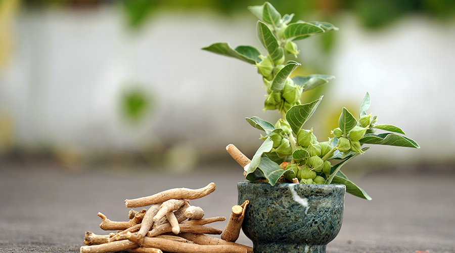 MB Ashwagandha