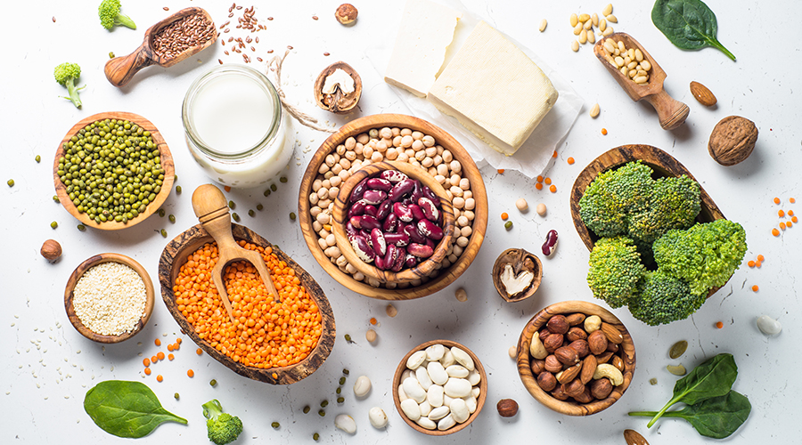 Your Complete Guide to a Plant-Based Protein Diet
