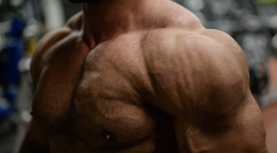 The Overlooked Role of Connective Tissue in Strength Training