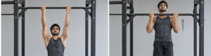 Back Workout at the Gym: 10 Best Exercises for a Bigger, Wider Back (2026)